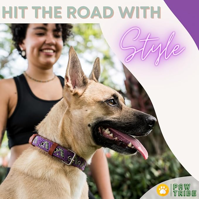 Western Dog Collar – Leather Embroidered Design for Small Medium Large Dogs & Puppy Pets - Aztec & Southwest for Boy and Girl Female & Male Dogs - Collar para Perros Beaded (Small, Amethyst)