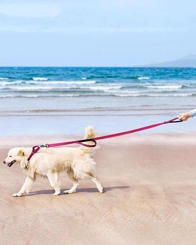 FunTags Reflective Martingale Collar for Dogs, Quick Release Buckle, 5FT Double Handle Dog Leash Padded, Dog Collar and Leash Set, Adjustable for Small Dogs (Hotpink, S)