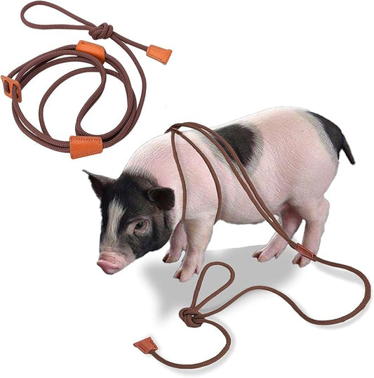 Pig Harness & Leash, Escape Prevention Adjustable Rope, All in One Design, All Life Stages Small to Medium Mini Pigs-5 Feet Long-Brown