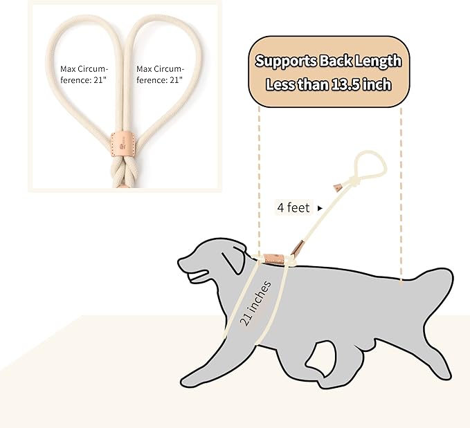Mile High Life Harness Lead No Pull, All in one Dog Lead 2-in-1, Rope Leash and Harness Two in One, Slip Leash for Puppy Small Dogs Training, 4FT White