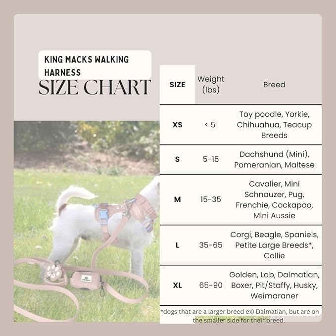 King Macks Dog Harness Set with Collar and Leash, Waste Bag Holder and Dirty Waste Bag Clip, Adjustable for Small/Medium/Large Dogs, Lightweight (Navy Blue, Small)