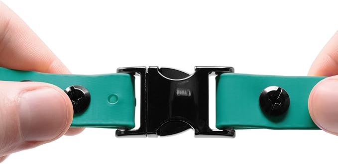 Educator Quick Snap Bungee Dog Collar, Biothane, Waterproof, Odorproof, Easy Connect and Disconnect Clasp and D Ring with Comfort Bungee Loop, Adjustable for Custom Fit, 3/4-Inch, Teal