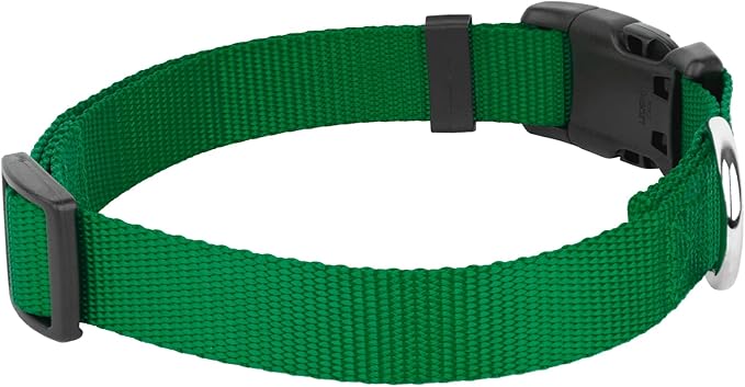 Country Brook Petz - American-Made Dog Collar for Large, Medium, and Small Dogs and Puppies - Deluxe Heavy Duty Nylon in 33 Dazzling Colors (Extra Large, 1 Inch Wide, Chritmas Green)