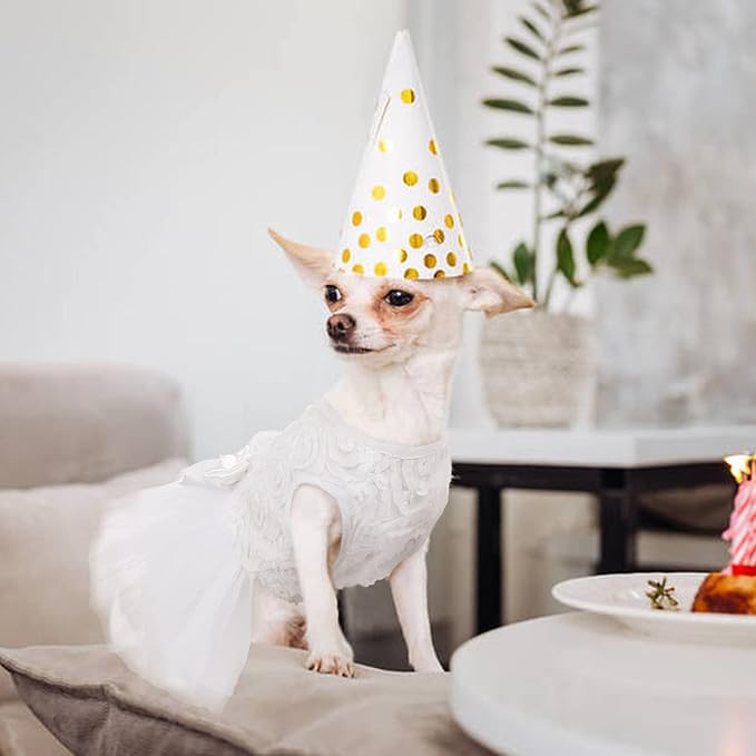 QBLEEV Dog Dress - Small Dog Wedding Attire, White Lace Tutu Skirt, Sweet Flower Girl Dress, Puppy Bride Costume Summer Apparel Formal Clothes for Wedding Party Holiday, XXS