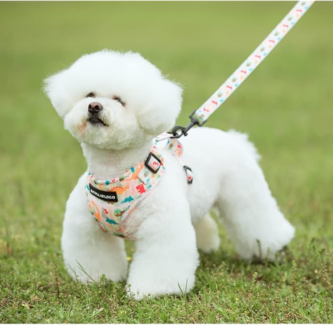 Adjustable Dog Harness and Leash Set for Girl Air Mesh Dog Vest Harness 5Ft Dog Training Leash with Soft Handle Pet Escape Proof for Small Medium Large Dogs (Dinosaur, M)