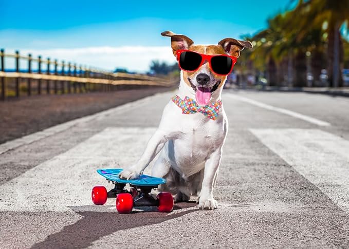 Lionet Paws Design Dogs Collar Cute Adjustable Dog Collars for Girl Female Small Medium Large Dogs Colorful Sailboat M