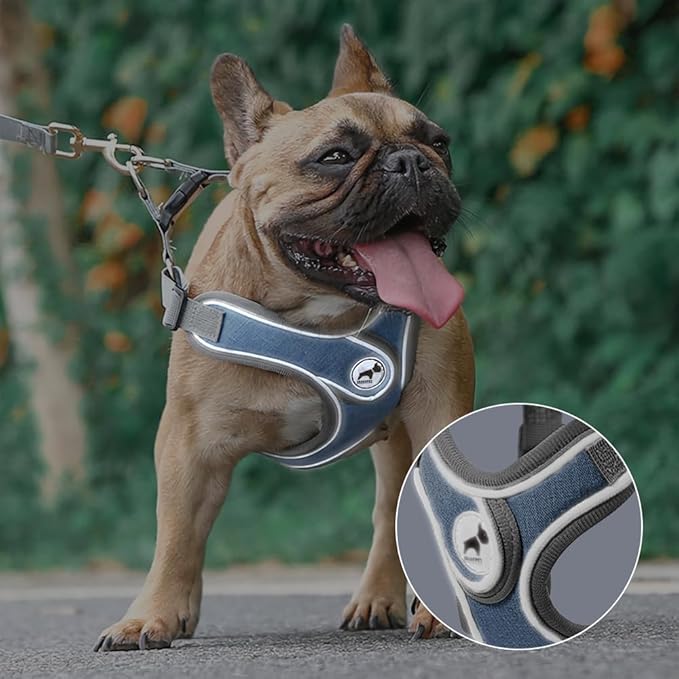Dog Harness with Leash Set, Adjustable Step in Collars Harness with Breathable Padded Vest for Small Medium Large Dogs Training and Running(M, Blue)