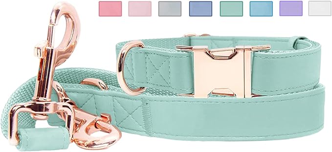 Soft Leather Dog Collar and Leash (6.6') Set - Stylish Rose Gold Heavy Duty Metal Buckle, 4 Adjustable Lengths Leash for Small Medium Large Dogs - Comfortable & Easy to Clean Mint Green M(13.8"-19.7")