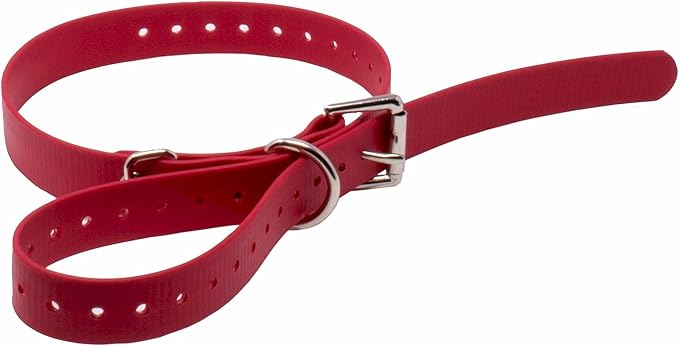 Educator Biothane Dog Collar, Waterproof, Odorproof, Metal Buckle and D Ring, Adjustable for Custom Fit, Cool and Comfortable, for Small, Medium, or Large Dogs, 3/4-Inch, Red