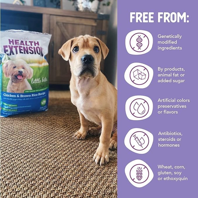 Health Extension Little Bites Chicken & Brown Rice Dry Dog Food (4 lb / 1.8 Kg) - Natural with Probiotics and Superfoods for Teacup, Toy & Small Breeds (Pack of 2)