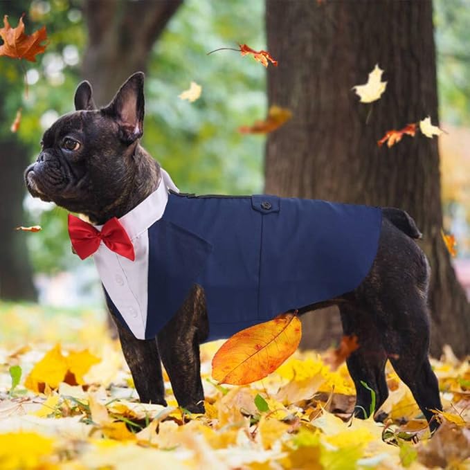 QBLEEV Tuxedo for Large Dogs, Suit and Bandana Set, Wedding Outfit With Bow Tie, Formal Tux Costume for Halloween Christmas Birthday Party Cosplay, Blue XL