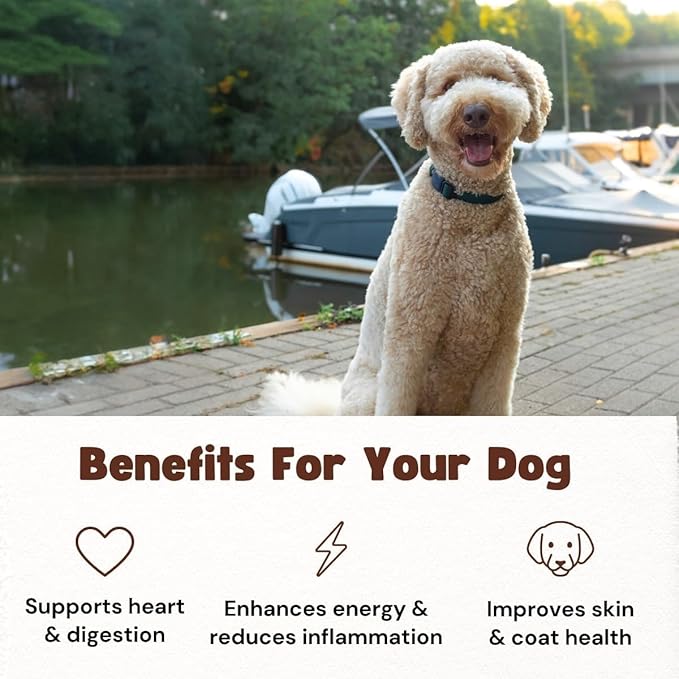 Smelt Pet Treats for Dogs & Cats – Single Ingredient Dehydrated Whole Smelt, Sustainably Sourced, Grain-Free, High Protein, No Additives, Natural Omega-3, Supports Healthy Skin & Coat, 4oz Bag
