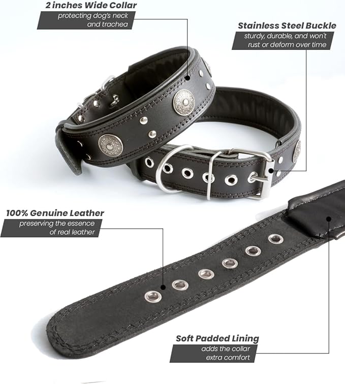 Leather Dog Collar, 2 inches Wide Heavy Duty Genuine Leather Collars, Handmade, Soft, and Luxury, Eye-catching Best Choice for Large and Medium Breed Dogs, Black 16.5-20.5 inches