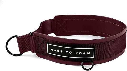 MADE TO ROAM Premium Everyday Dog Collar - Martingale Style No Pull Vegan Leather Collar, Heavy Duty and Lightweight for Small, Medium, Large Dogs (Vermont Weekends, Size 9)