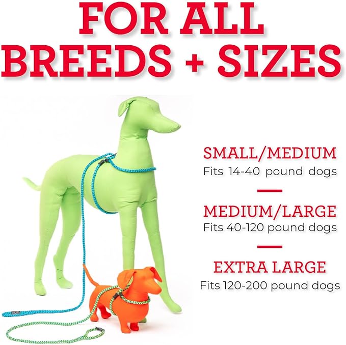 Harness Lead No Pull Dog Harness and Leash Set, Anti Pull Dog Harness, One-Piece Cushioned Rope Safely Prevents Escaping and Pulling *New Insert is Removable (Medium/Large, Rainforest)