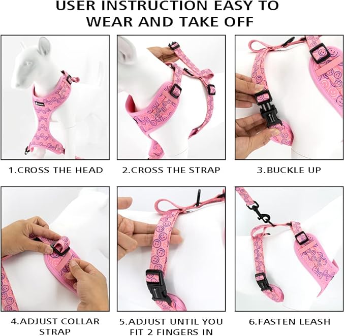 Adjustable Dog Harness and Leash Set for Girl Air Mesh Dog Vest Harness 5Ft Dog Training Leash with Soft Handle Pet Escape Proof for Small Medium Large Dogs (Dinosaur, M)