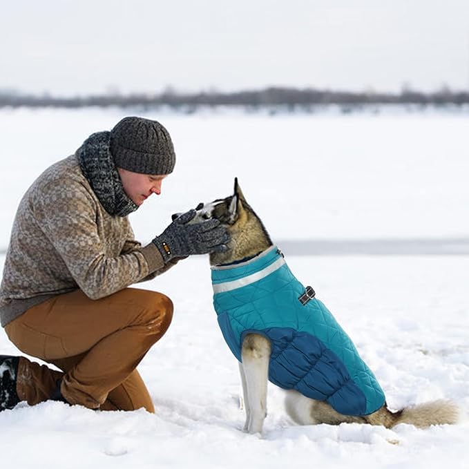Winter Dog Coat,Large Dog Jacket,Waterproof Pet Jacket with Back Zipper,Pet Coat with Harness Built in,Warm Dogs Coat with Fleece Lined,Snow Jacket Clothes French Bulldog Shiba Inu,L