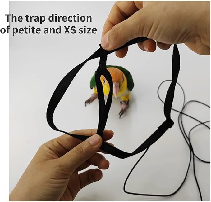 Adjustable Bird Harness with 78.7 Inch Leash, Outdoor Flying Training Rope Kit for Bird Parrots, Parrot Flying Rope Straps Outdoor Training Traction Rope for Small Medium Large Size Birds (L)