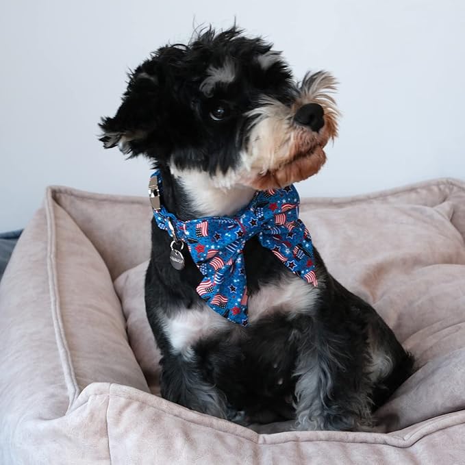 Patriotic Dog Collar with Bow Tie, 4th of July Bowtie Dog Collar, American Flag Collar for Medium Boy Girl Dog, Comfortable Summer Bowtie Collar with Metal Buckle, M