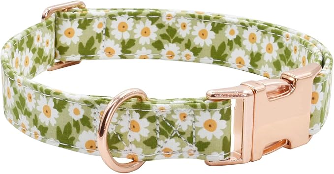 Metal Buckle Dog Collar, Durable Adjustable Dog Collar Soft for Small Medium Large Dogs (003-Green Flower, S(10-14in)