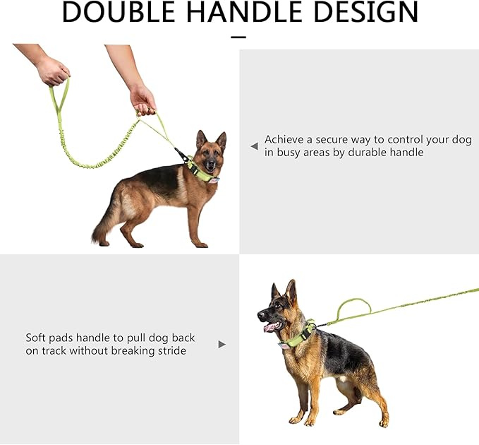 DAGANXI Tactical Dog Collar, Adjustable Military Training Nylon Dog Collar with Control Handle and Heavy Metal Buckle for Medium and Large Dogs, with Patches and Airtags Case (XL, Spring Grass-Set)