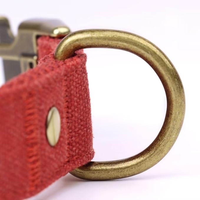 PET ARTIST Dog Collars for Medium Dogs, Heavy Duty Nylon Dog Collar with Quick Release Metal Buckle, Soft Padded Nylon, Durable & Adjustable for Girl Gifts, Red, M (Fit 13-20")