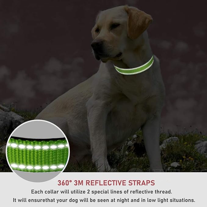 Reflective Dog Collar with Buckle Adjustable Safety Nylon Collars for Small Medium Large Dogs, Grass Green M