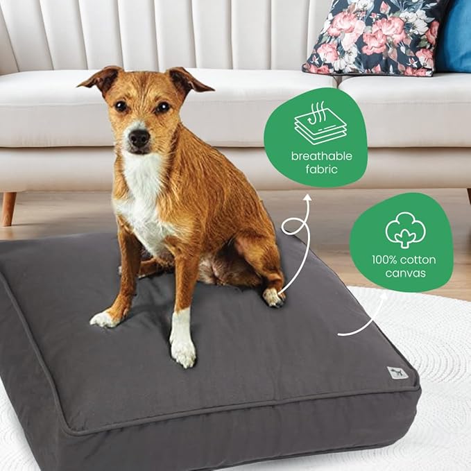 Molly Mutt Medium to Large Dog Bed Cover - I’m A Realist Print - Measures 27”X36”X5’’ - 100% Cotton - Durable - Breathable - Sustainable - Machine Washable Dog Bed Cover