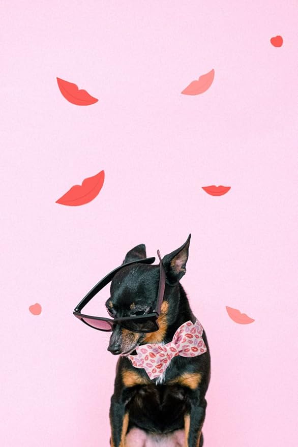 Unqiue Style Paws Valentine's Dog Collar, Soft and Cute Dog Bow Tie, Holiday Durable Pet Collar with Bow Adjustable Collar for Small Dogs