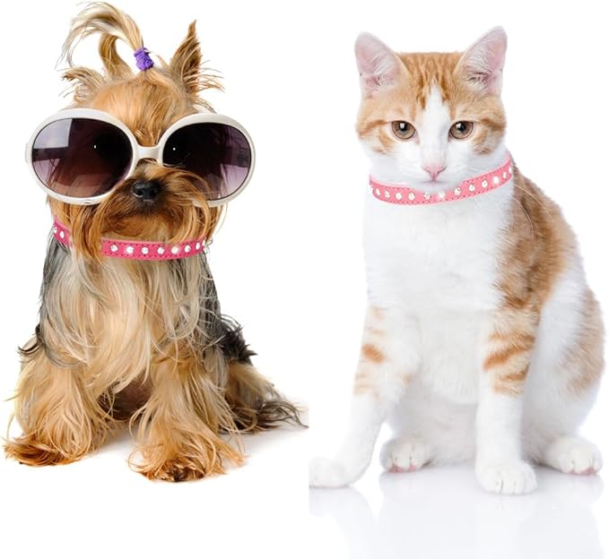 Puppy Collar and Leash with Bling Diamond, Pretty Crystal Sparkly Rhinestone Glitter Jewel Girls Cat Collars for XXS Xs Small Medium Pet Female Dogs Boys Kitten, Hot Pink XSmall