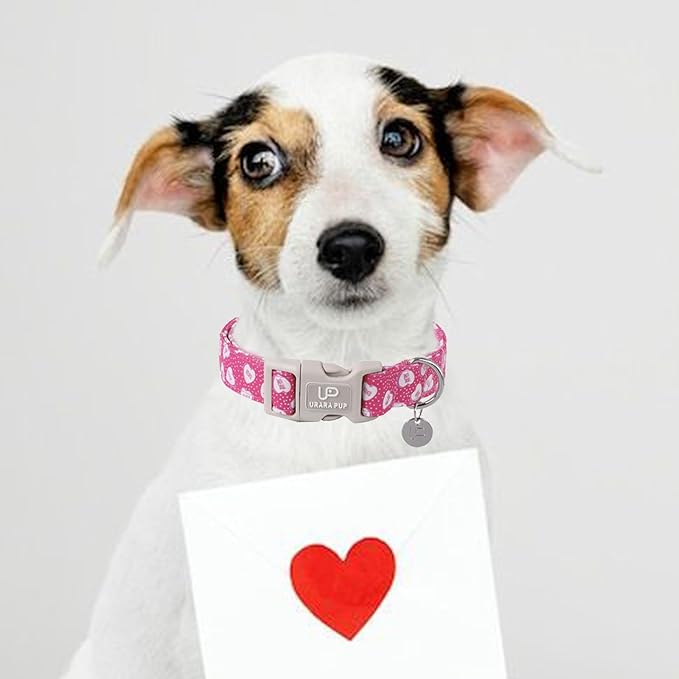 Valentine’s Dog Collar, Pink Heart Dog Collar with Quick Release, Valentine’s Gift Pet Collar for Puppy Girl Boy Dog, Wedding Dog Collar