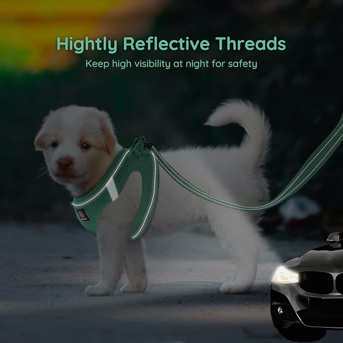 BELLA & PAL Puppy Harness and Leash Set, No Pull, Step in Harness for Extra Small Dogs, Green