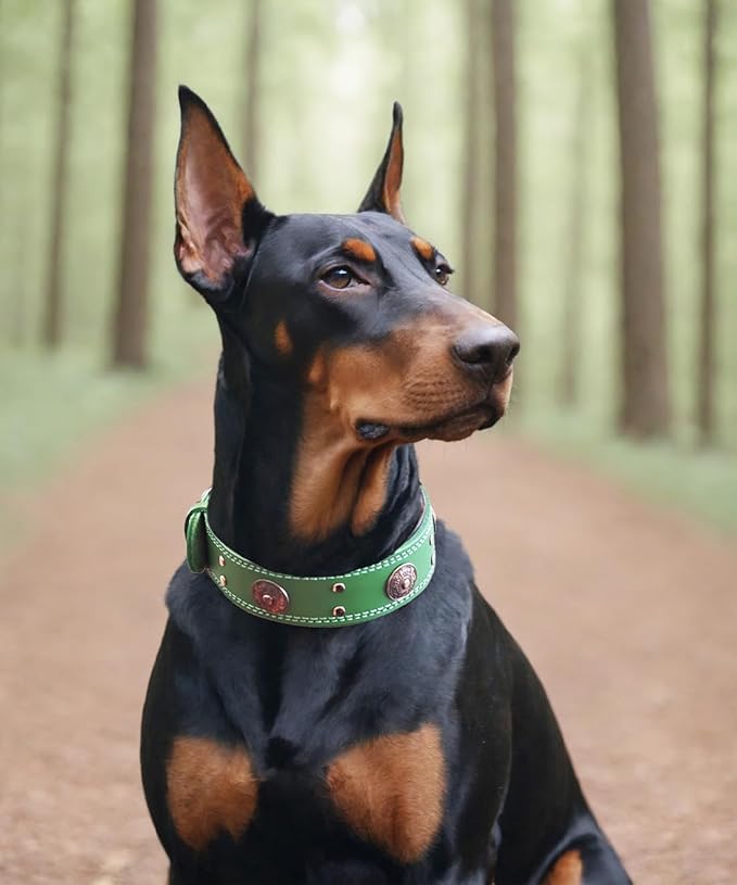 Leather Dog Collar, 2 inches Wide Heavy Duty Genuine Leather Collars, Handmade, Soft, and Luxury, Eye-catching Best Choice for Large and Medium Breed Dogs, Green 22.5-26.5 inches