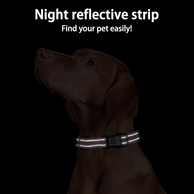 Dog Collar with QR Code, Reflective Dog Collar, Soft Neoprene Padded & Safety Locking Buckle Adjustable Pet Collar (Red, M-with Airtag Holder)