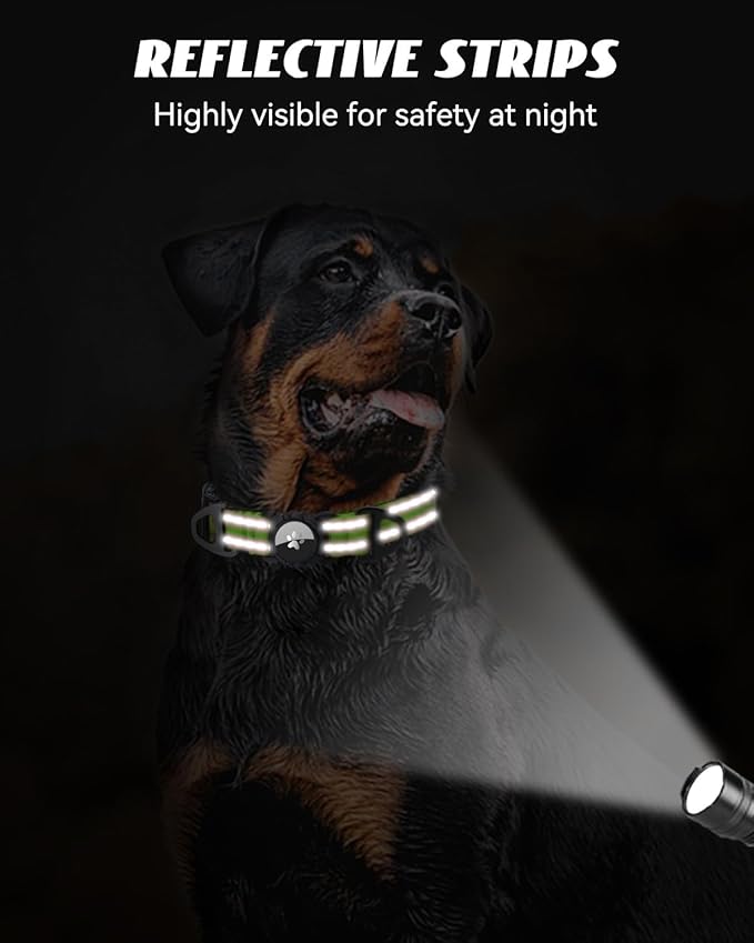 Joytale Airtag Dog Collar, Dual D-Rings, Reflective Pet Collar with Waterproof AirTag Holder, Soft Padded Adjustable for Medium Dogs, Green, M
