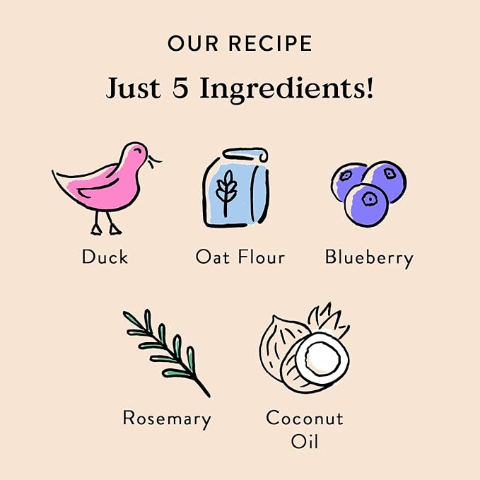 Bocce's Bakery Oven Baked Quack, Quack Treats for Dogs, Everyday Wheat-Free Dog Treats, Made with Real Ingredients, in The USA, All-Natural Duck & Blueberry Biscuits, 5 oz