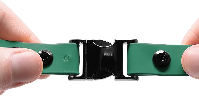 Educator Quick Snap Bungee Dog Collar, Biothane, Waterproof, Odorproof, Easy Connect and Disconnect Clasp and D Ring with Comfort Bungee Loop, Adjustable for Custom Fit, 1-Inch, Green