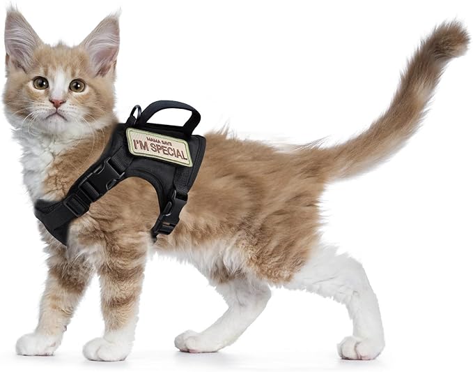 Tactical Cat Harness for Walking Escape Proof, Soft Mesh Adjustable Pet Vest Harness for Large Cat,Small Dog (Medium, Black)