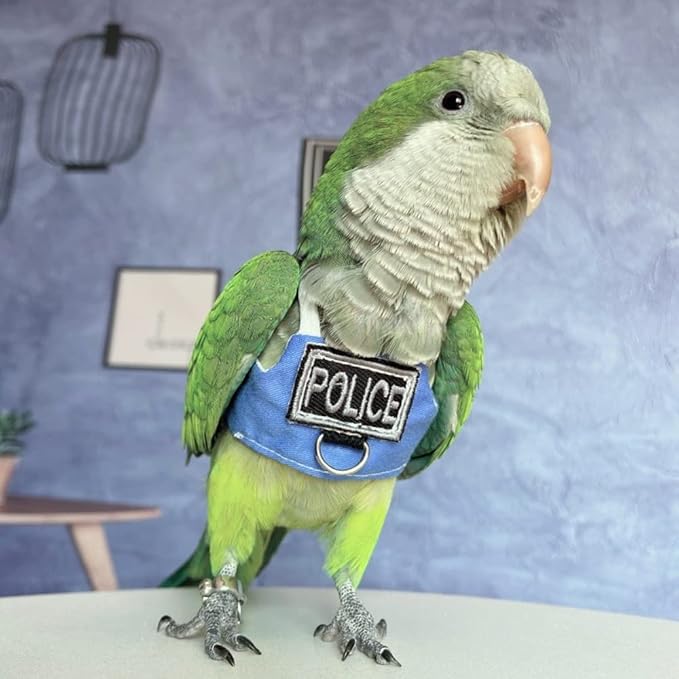 Bird Flight Harness Vest, Parrot Flight Suit with Leash, Bird Flying Clothes with Rope and Handle for Outdoor Activities (Without Leash,Green Quaker)