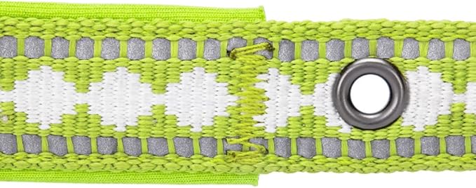 Blueberry Pet Soft & Safe 3M Reflective Jacquard Neoprene Padded Adjustable Dog Collar with Metal Buckle - Macaw Green, Neck 9-12.5", for Small Breed