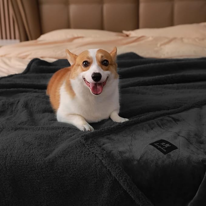 Waterproof Pet Blanket, Liquid Pee Proof Dog Blanket for Sofa Bed Couch, Reversible Sherpa Fleece Furniture Protector Cover for Small Medium Large Dogs Cats, Black Thicken Large(65" x 57")