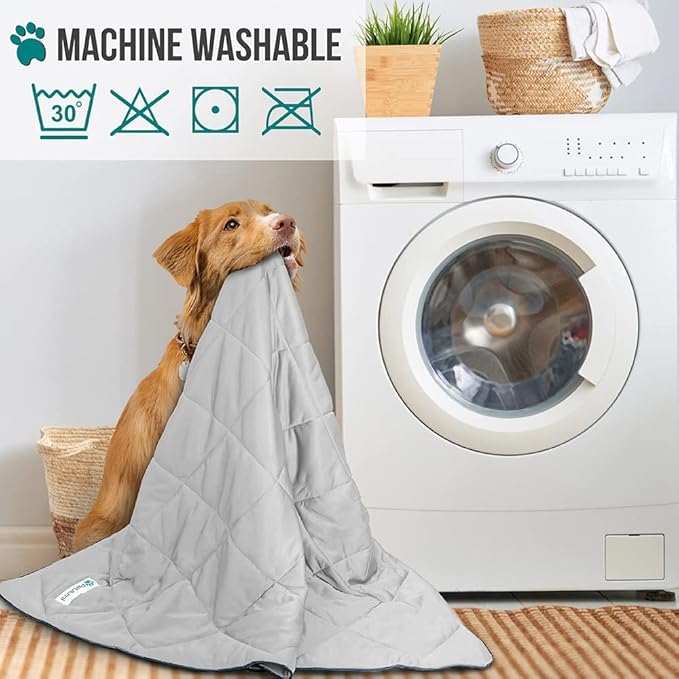 PetAmi Premium Cooling Dog Blanket | Lightweight Fluffy Pet Throw Blanket Bed Cover for Dogs, Cat, Puppies | Pet Blanket Furniture Protector Couch Sofa | Reversible Fuzzy Cozy | 24x32, Light Grey