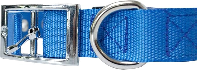 Downtown Pet Supply Deluxe Padded Adjustable Dog Collar - Metal Buckle & D-Ring - Machine Washable & Water Resistant - Blue - S