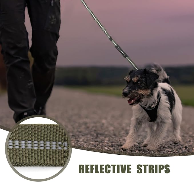 Raipult Tactical Heavy Duty Dog Leash,4-6FT Strong Bungee Dog Leashes with Frog Clip & Car Seatbelt,Reflective Walking Lead with 2 Handles for Medium Large Dogs,Green