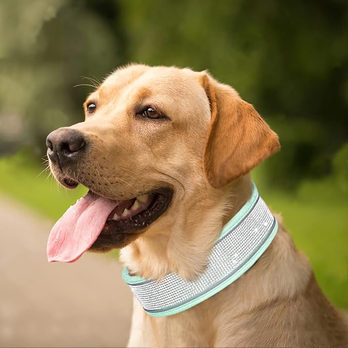 Bling Rhinestone Dog Collar Soft Comfortable Stylish Dog Collar with Bright Reflective Stripe Premium Adjustable Diamond Crystal Pet Collar for Small Medium and Large Dogs (M, Green)
