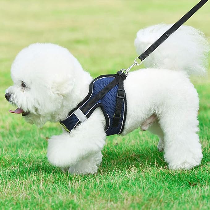 leconpet Step in Dog Harness, Vest Harness and Leash Set for Small Medium Dogs, Puppy Harness, Mesh Reflective Dog Harness Vest (True Navy, M)