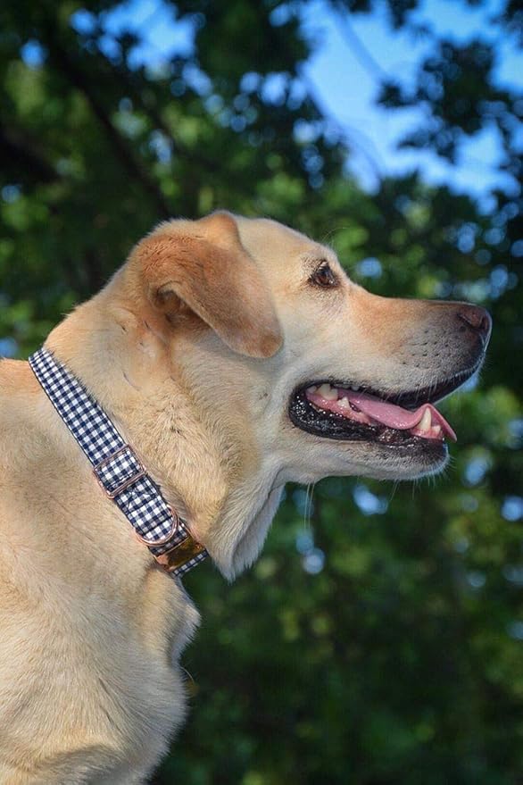 ARING PET Bowtie Dog Collar Adjustable Collars with Bow Tie for Dogs Small Medium Large