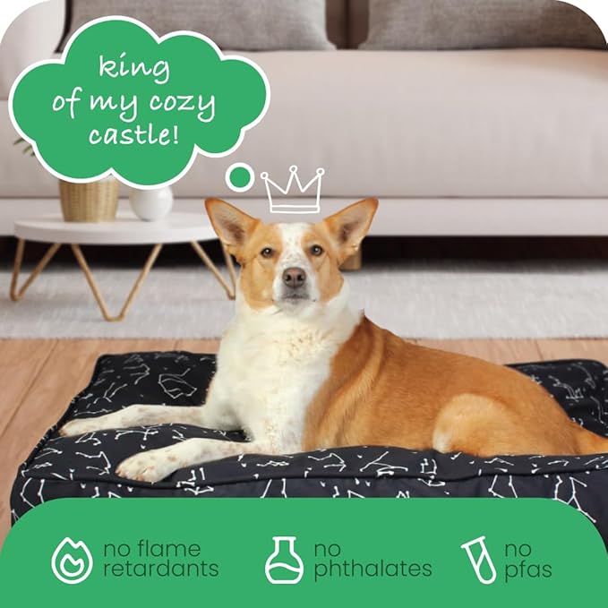 Molly Mutt Medium to Large Dog Bed Cover - Rocketman Print - Measures 27”x36”x5’’ - 100% Cotton - Durable - Breathable - Sustainable - Machine Washable Dog Bed Cover