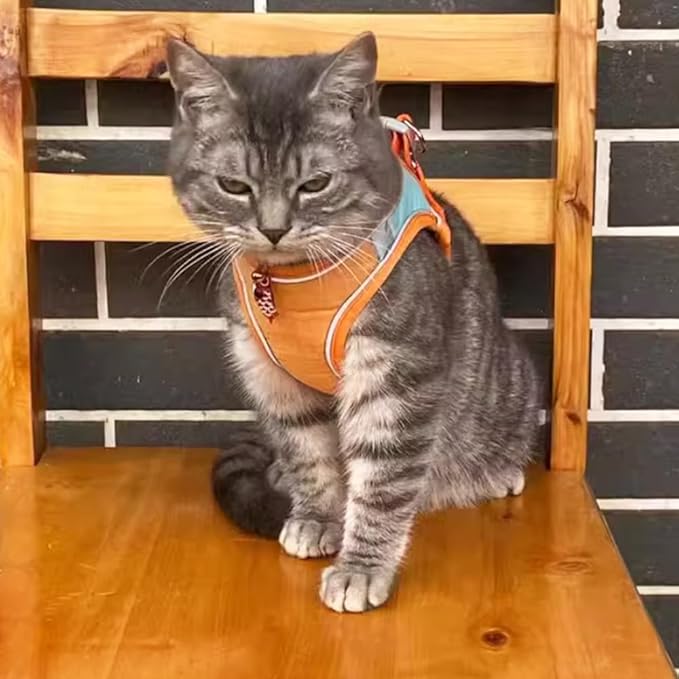 Bunny Harness and Leash Set Reflective Strip Kitten Vest Harness Escape Proof Rabbit Leash Walking Pet Accessories for Small Cat XXS Dog Guinea Pig and Small Animals (Orange, Medium)