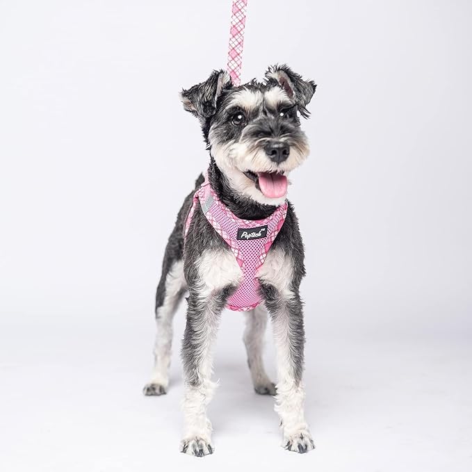 PUPTECK Dog Harness and Leash Set for Small Medium Dogs No Pull Step-in Soft Mesh Puppy Cat Vest Harnesses Reflective at Night, Pink XS